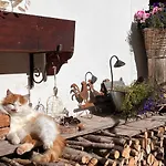 Knaushof By Interhome Apartment