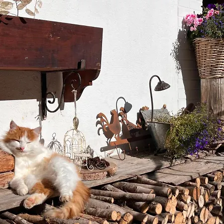 Knaushof By Interhome Apartamento