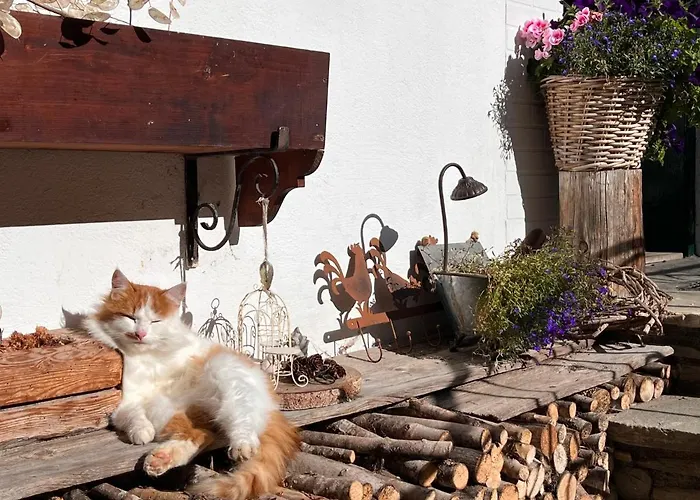 Knaushof By Interhome Апартаменты