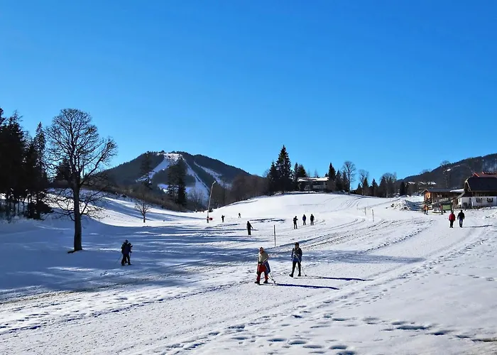 Knaushof By Interhome * Ramsau am Dachstein
